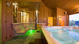 Hotel Redyk - bar con chimenea