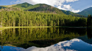 Hotel Redyk - desayuno buffet variado