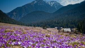 Hotel Redyk - habitación familiar espaciosa